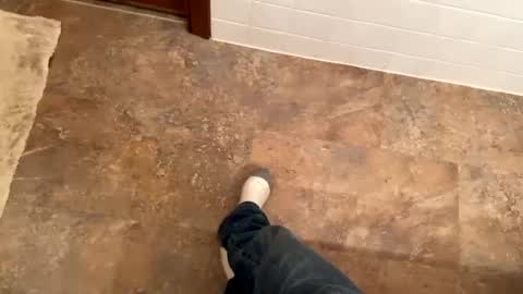 Snapshot of trevgrad08 chatting on December 2024 11:19:01 PM Mystic allusion online show from December 2024 11:19:01 PM