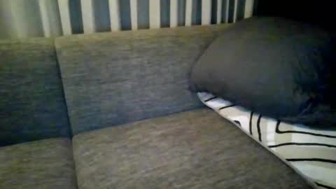 Snapshot of triciawu22 chatting on December 2024 01:36:02 PM triciawu22 online show from December 2024 01:36:02 PM