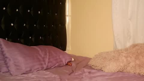trinatrina94 online show from December 2025 02:40:01 AM