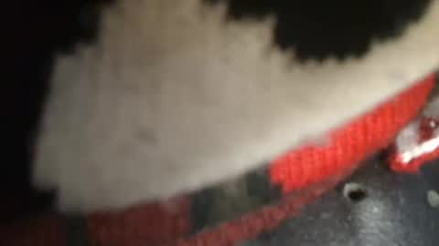 Snapshot of trobelle chatting on December 2024 01:43:02 PM trobelle online show from December 2024 01:43:02 PM