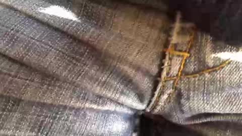 Snapshot of trobelle chatting on November 2025 11:36:02 AM trobelle online show from November 2025 11:36:02 AM