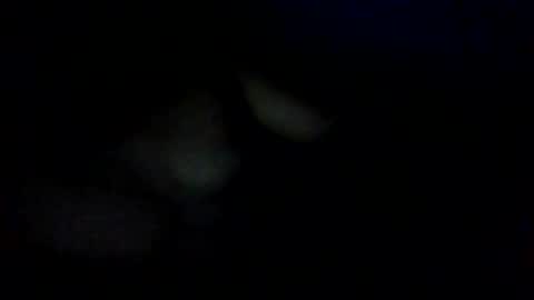 Snapshot of troi1 chatting on January 2025 01:06:01 AM troi1 online show from January 2025 01:06:01 AM