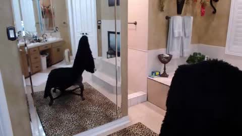 Snapshot of trophywifey chatting on February 2026 08:21:01 AM Trophy Wifey iframe src height528 width850 s online show from February 2026 08:21:01 AM