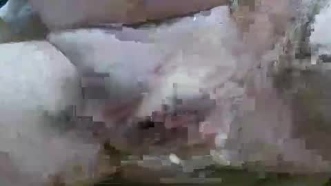 troy1965 online show from February 2026 06:07:01 AM