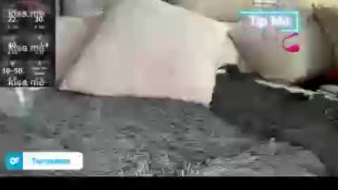 tsfoxx online show from July 2026 04:43:02 PM