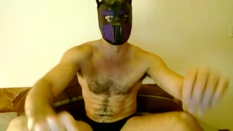Snapshot of tuck_the_pup chatting on August 2026 06:23:01 AM Tuck online show from August 2026 06:23:01 AM