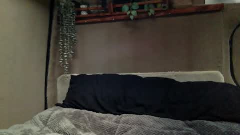 Snapshot of tuhands chatting on December 2024 02:58:02 PM Tuhands online show from December 2024 02:58:02 PM