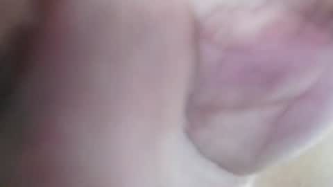 Tuistwer online show from June 2026 05:53:01 AM