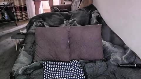 Lana online show from November 2025 04:12:01 AM