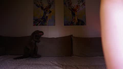 Maria 3 online show from January 2025 09:16:01 PM