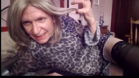 Kitten online show from December 2024 02:52:02 AM