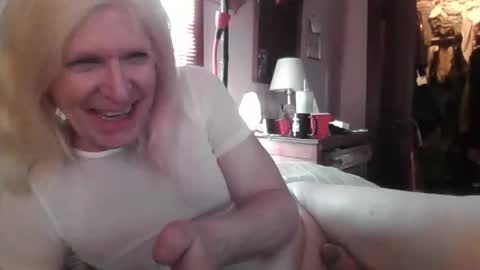 Kitten online show from February 2026 02:29:02 PM