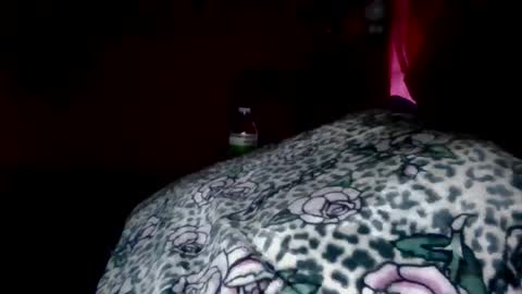 twizzytoxic22 online show from June 2026 10:29:01 AM
