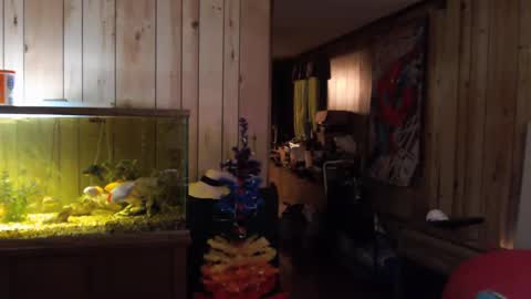 Snapshot of twocumkerry chatting on February 2025 08:06:02 AM twocumkerry online show from February 2025 08:06:02 AM