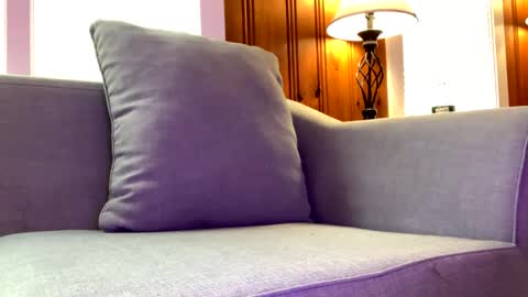 Tyler Sands online show from February 2025 02:58:01 PM