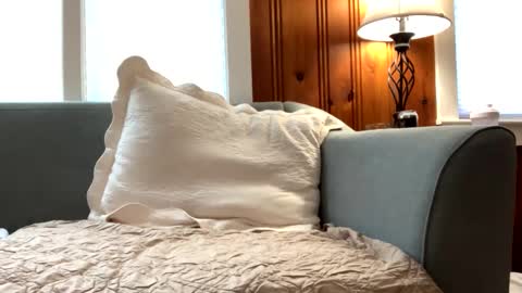 Tyler Sands online show from February 2025 02:21:01 PM