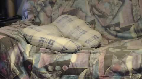 Helena and Tyson online show from April 2026 02:03:02 AM