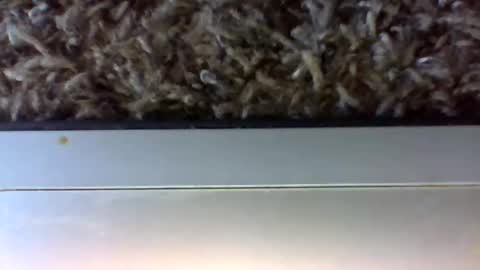 Snapshot of uncut_papi1989 chatting on January 2025 06:25:01 PM tele kuzhbuzh online show from January 2025 06:25:01 PM