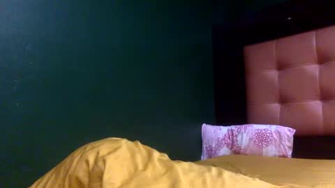 Snapshot of unlimitedfantasy chatting on October 2025 02:43:02 AM Thiago online show from October 2025 02:43:02 AM