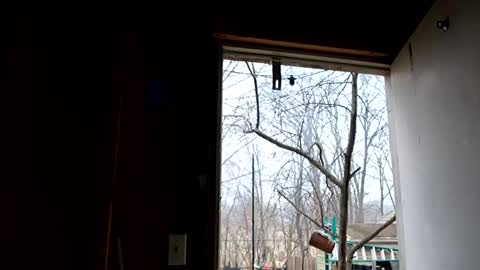 upforanything27 online show from December 2024 06:41:01 PM