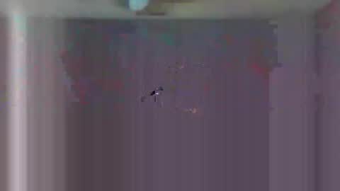 Snapshot of urls2025 chatting on November 2025 04:34:01 AM urls2025 online show from November 2025 04:34:01 AM