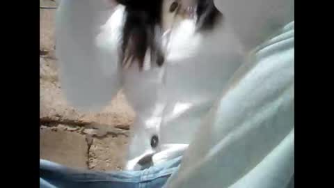 Aleah online show from November 2025 08:36:02 AM