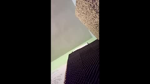 Snapshot of v3403454 chatting on December 2025 11:54:01 PM v3403454 online show from December 2025 11:54:01 PM