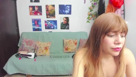 Snapshot of vaioletuwu chatting on June 2026 06:48:02 AM Vaiolet1314 online show from June 2026 06:48:02 AM