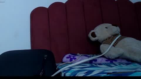 Snapshot of valerybaker1 chatting on December 2024 03:05:02 AM B V Naughty online show from December 2024 03:05:02 AM