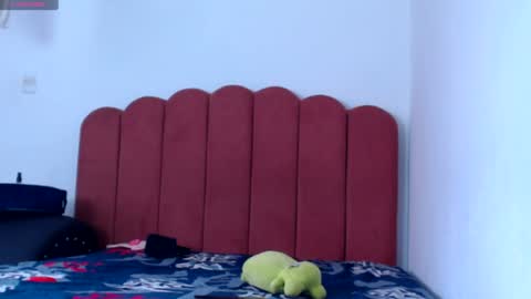 Snapshot of valerybaker1 chatting on January 2025 05:18:02 PM B V Naughty online show from January 2025 05:18:02 PM