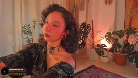      online show from February 2026 12:36:01 AM