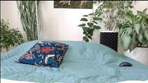 Mollyy Valentine online show from April 2026 09:08:01 AM