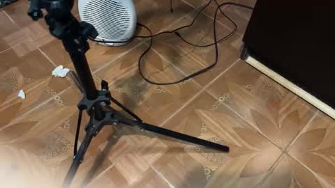 Geovani Agustin Garcia online show from February 2026 06:07:01 AM