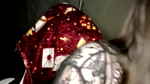 Var Kiss online show from February 2026 03:20:01 PM