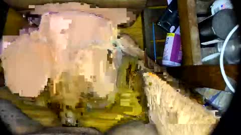 Snapshot of vegujo chatting on February 2025 07:07:01 AM vegujo online show from February 2025 07:07:01 AM