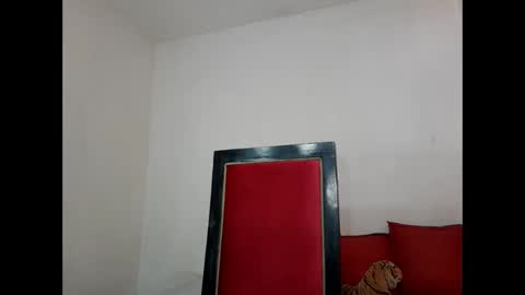 Snapshot of velk_hot1 chatting on February 2025 06:54:02 PM velk_hot1 online show from February 2025 06:54:02 PM