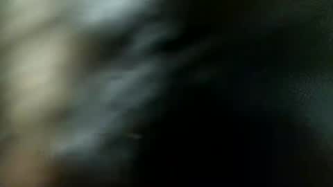 Snapshot of vellarossa chatting on February 2025 06:33:01 AM Im VelaI will be Christmas and New Year with my family December 22 to January 13 I will miss you guys. online show from February 2025 06:33:01 AM