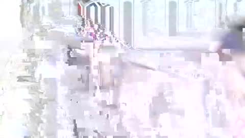 velvet online show from January 2025 08:04:02 PM