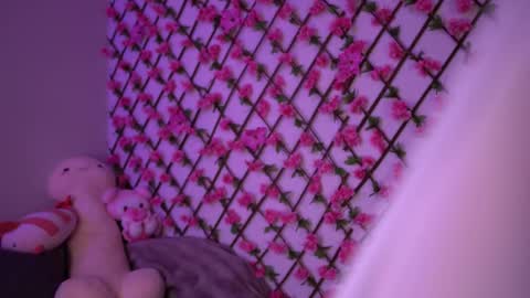 Polly online show from November 2025 06:18:01 PM