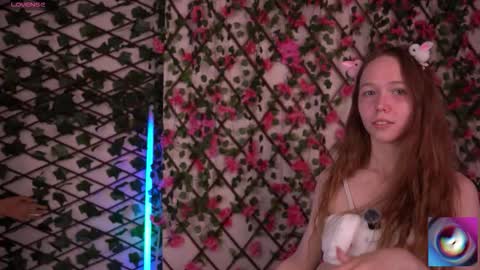 Polly online show from November 2025 06:21:01 PM