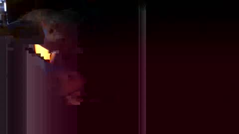 Venos online show from March 2026 02:11:02 PM