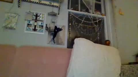 venuskisth online show from January 2025 08:13:02 AM