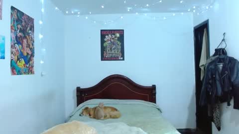 Snapshot of veronica_goddes chatting on October 2025 05:26:02 AM Veronica online show from October 2025 05:26:02 AM