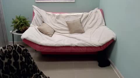 Snapshot of veronicagilbert chatting on March 2025 11:42:02 AM Helen online show from March 2025 11:42:02 AM