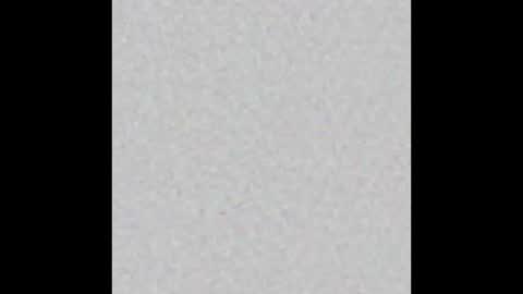 Veronika von Kleist online show from December 2025 01:53:01 PM