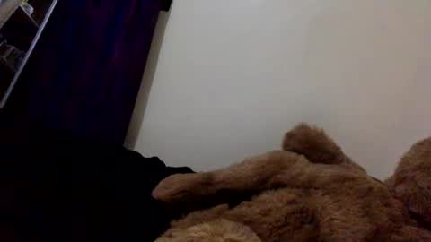 DarkBerryBliss online show from April 2026 10:04:02 PM