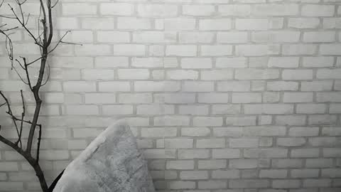 Ana online show from January 2025 02:39:01 PM