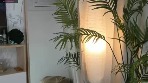 Mikky online show from March 2025 06:06:02 AM