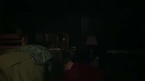 Snapshot of vibrantwhimsy chatting on December 2025 09:18:02 AM vibrantwhimsy online show from December 2025 09:18:02 AM