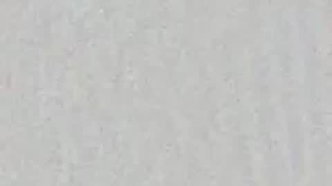 Vicky  Diego online show from April 2026 11:16:01 AM